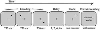 Functional Dissociation of Confident and Not-Confident Errors in the Spatial Delayed Response Task Demonstrates Impairments in Working Memory Encoding and Maintenance in Schizophrenia